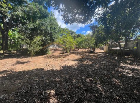 11b06c6e-4add-4c1c-9844-e83dc3f7fb0e