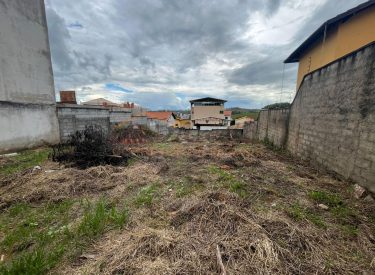 3b256a6e-c628-4cf5-b699-8208b4d3061b