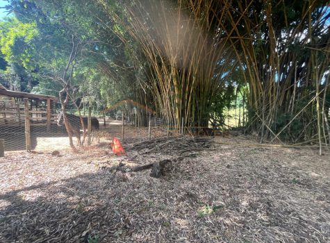 5946cb52-ffd6-46c5-aebf-6bf83f405072