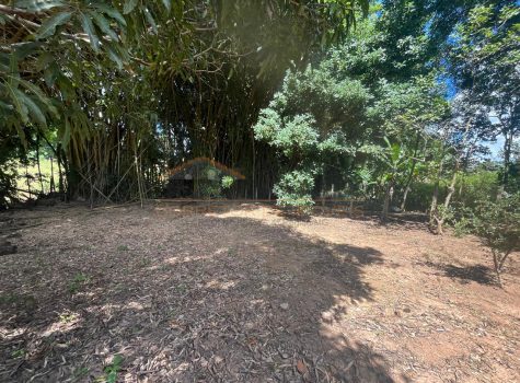 65a8e3f5-d4a1-4db3-b9e9-d0027813e46b