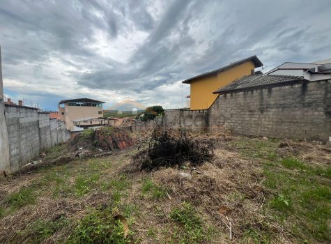 6adc723f-5a95-4215-86a3-c0e1b0e87564