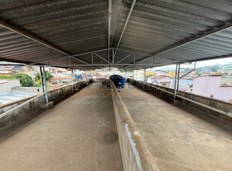 WhatsApp Image 2026-02-09 at 14.26.38 (6)