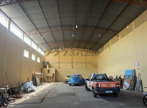 WhatsApp Image 2026-02-13 at 13.08.44