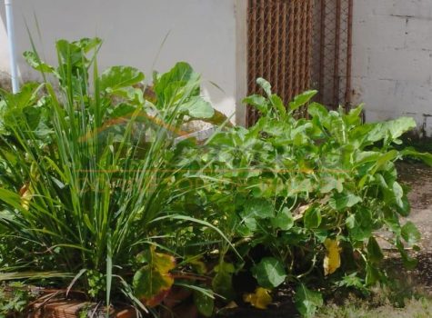 WhatsApp Image 2026-03-09 at 13.00.06 (1)