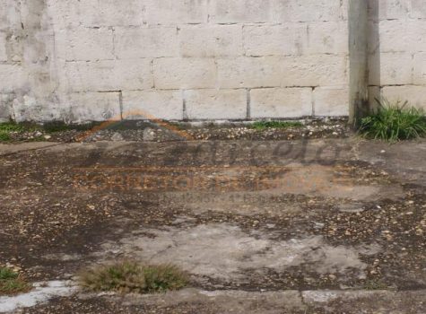 WhatsApp Image 2026-03-09 at 13.00.08 (3)