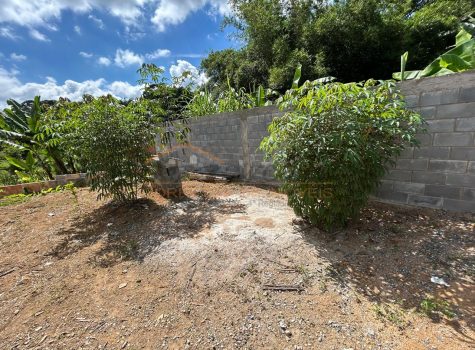 WhatsApp Image 2026-03-11 at 15.51.29 (2)