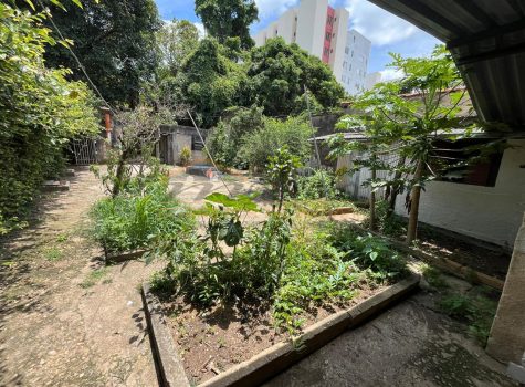 b325a19c-3fc5-400a-917f-e2ef7456407c