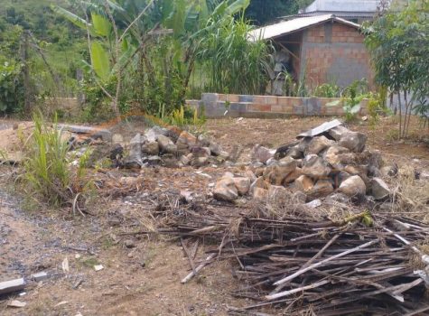 c27b3ad4-0836-4913-954b-e4599f5e2c92