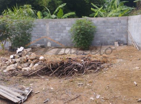 c4899d55-7755-4d7e-b05f-9f834ab1b697